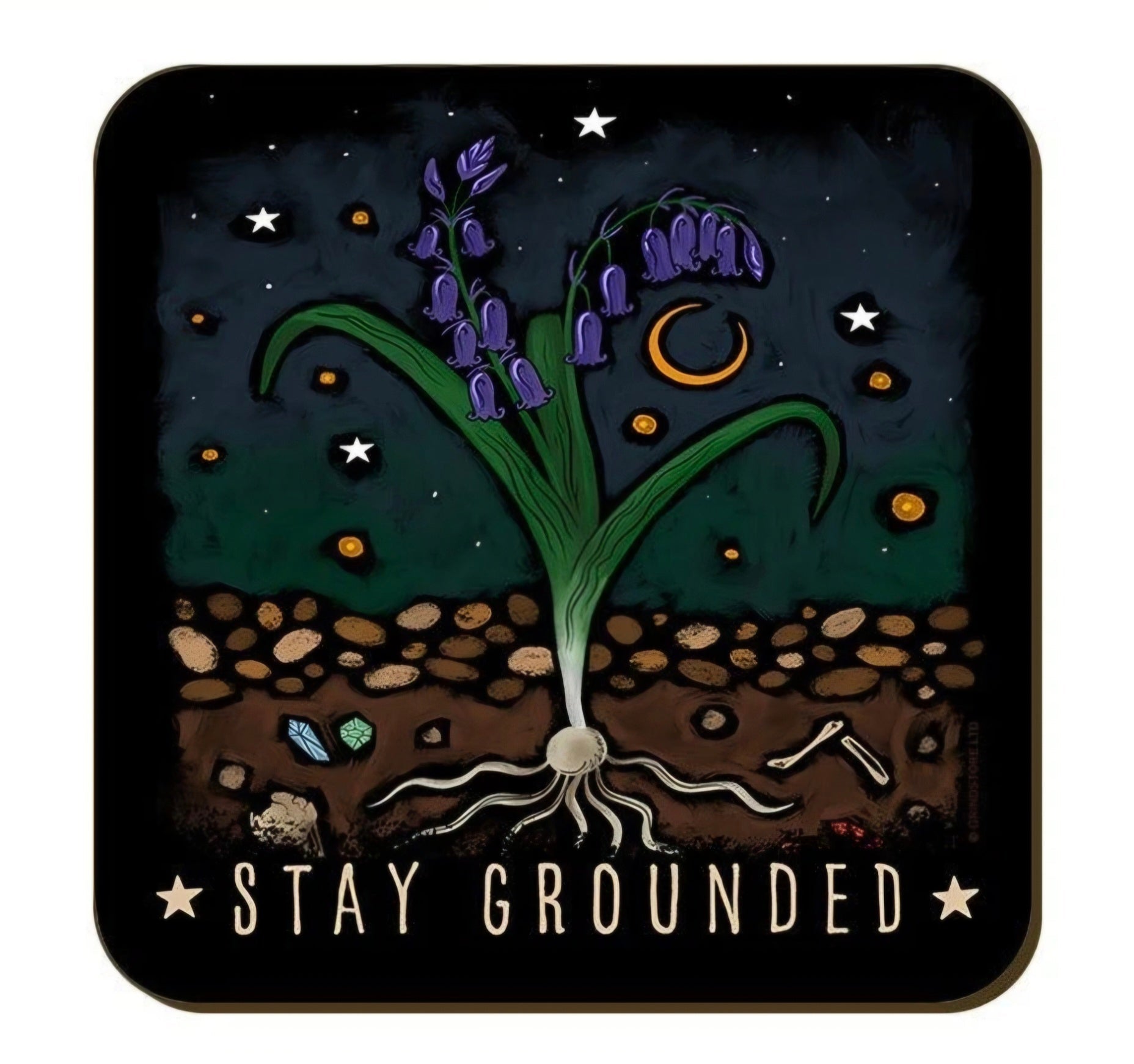 Mystical Roots Mushroom Coaster Set – 4 Piece Botanical Cork Backed Set - Rockinredfox